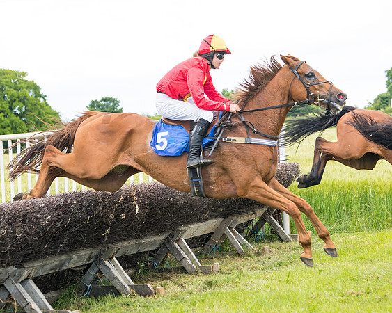 Race 5 - Restricted  (73 of 136)