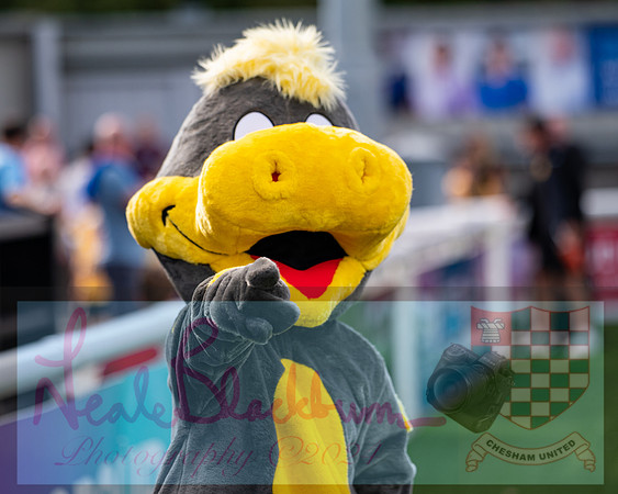 Maidstone Utd 2 v Chesham Utd 2 (48 of 383)