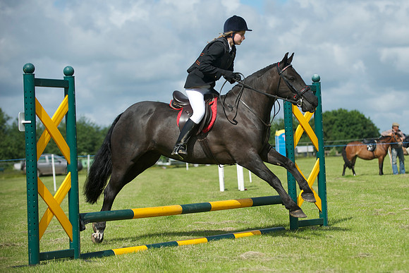SOHS PC Summer Show at BCA 17th June 2012