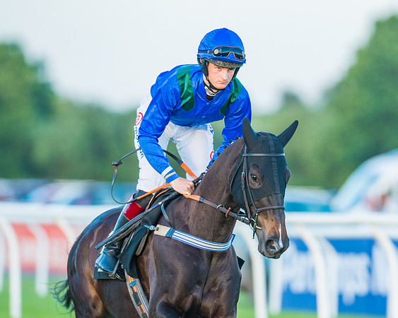 Race 7 - ITM Bumper (21 of 72)