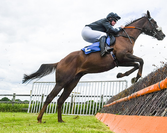Race 1 - Owner Trainer Conditions  (70 of 133)