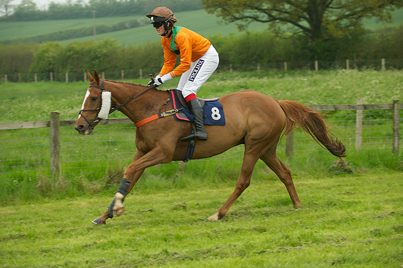 Race 2 - Novices 22