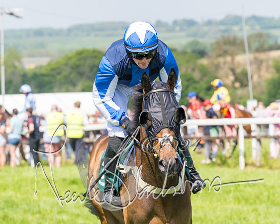 Race 2 - The Maiden  (55 of 442)