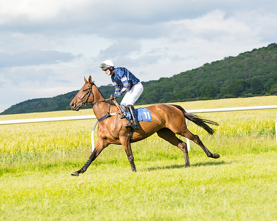 Race 6 - Open Maiden (42 of 227)