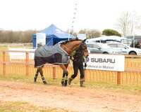 Race 6 - Open Maiden (4 of 120).jpg