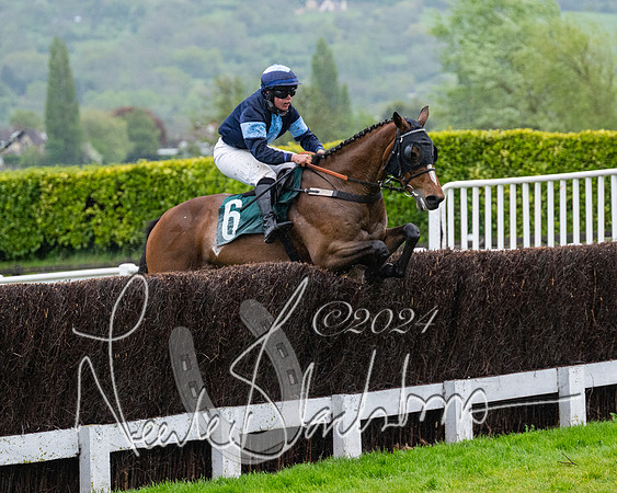 Race 5 - Mares Open  (71 of 129)