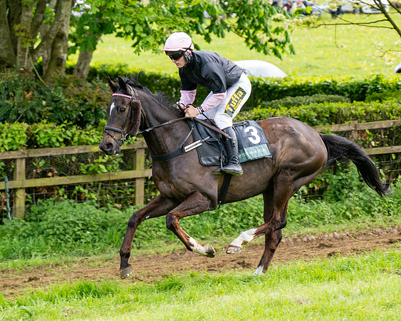 Race 5  - Novice riders (49 of 188)