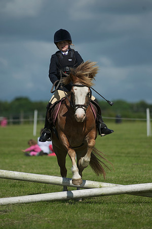 SOHS PC Summer Show at BCA 17th June 2012