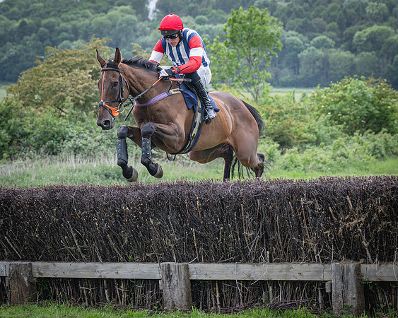 Race 6 - 2M4F Maiden (11 of 85)