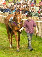 Old Berks at Lockinge Restricted Race