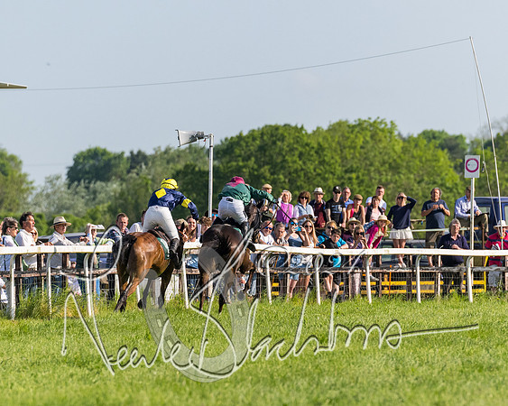 Race 6 - Owner trainer conditions (237 of 272)