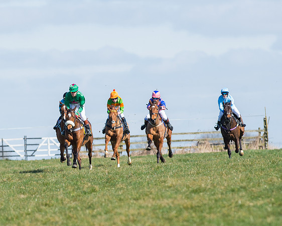 Oakley Ponies (57 of 96).jpg