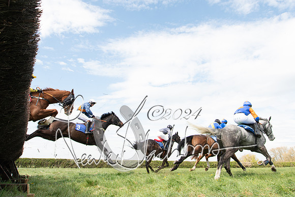 Race 2 - The Elliott of London maiden race (51 of 137)