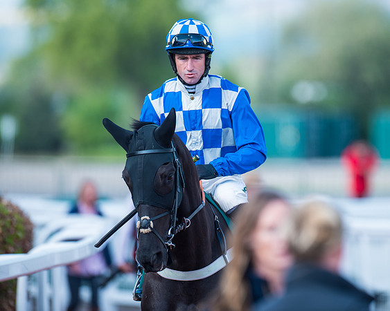 Race 1 - The open Hunter chase  (45 of 95)