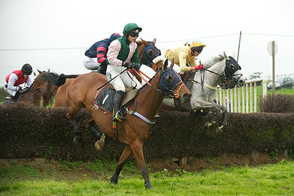 Race 5 - Restricted 34