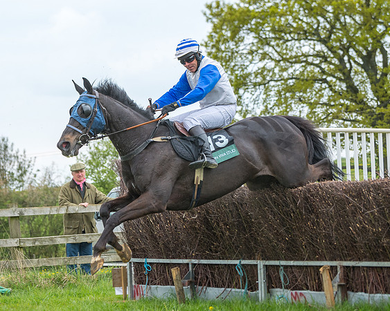 Race 2 - Jockey Club ROR veteran Horse (69 of 104)