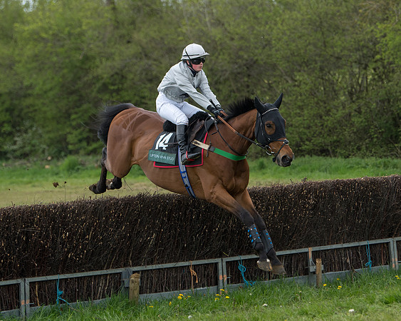 Race 2 - Jockey Club ROR veteran Horse (37 of 104)