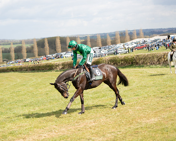Race 2 - Young Horse Maiden (18 of 104)