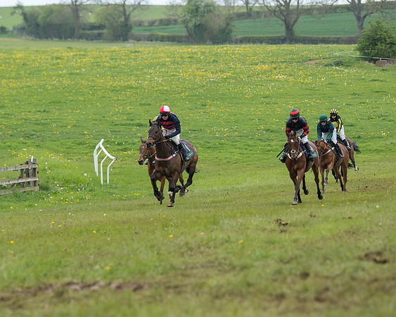 Race 2 - Jockey Club ROR veteran Horse (46 of 104)