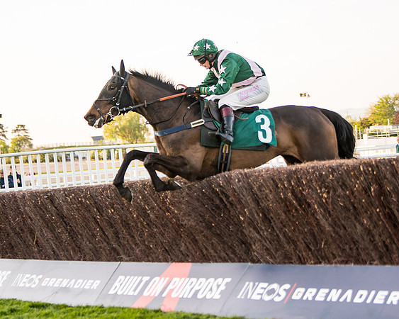 Race 5 - ITM Mares'  (65 of 181)