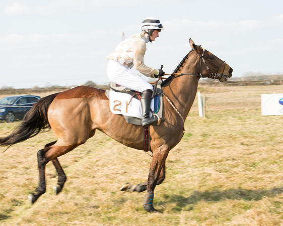 Race 2 - Open Maiden (4 of 101).jpg