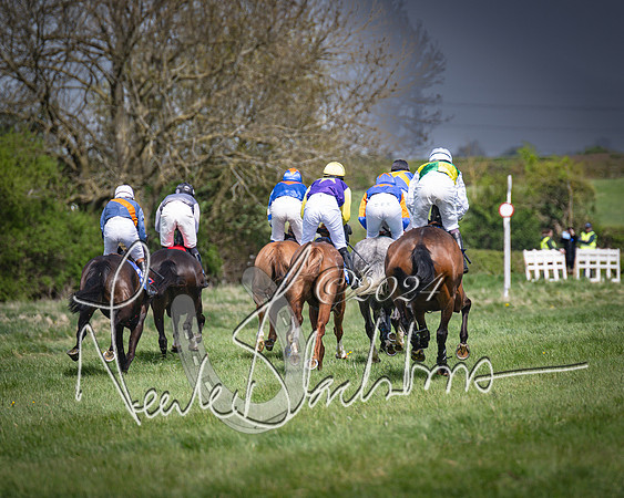 Race 2 - The Elliott of London maiden race (58 of 137)