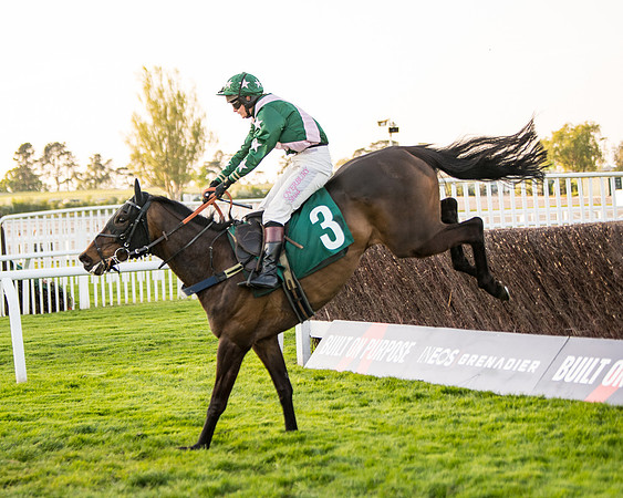 Race 5 - ITM Mares'  (68 of 181)
