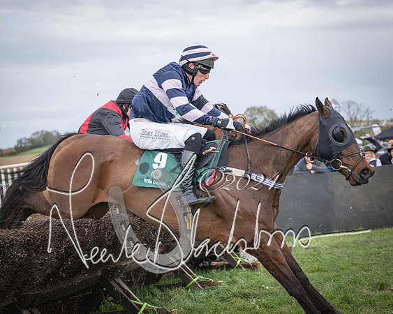 Race 3 - 5 years old and Over Maiden Race (73 of 130)