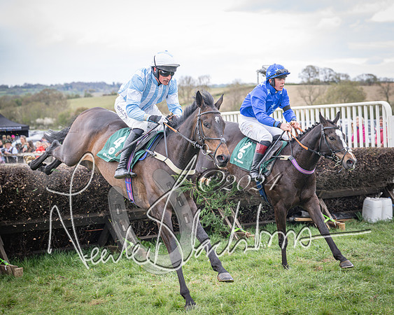Race 2 - Tattersalls Cheltenham 4 year old Maiden (43 of 85)