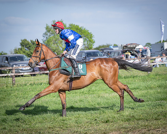 Race 6 - 2m5f Conditions (24 of 70)