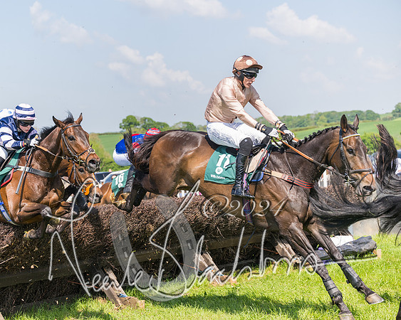 Race 2 - The Maiden  (256 of 442)