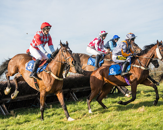 Race 5 - Restricted (33 of 146)