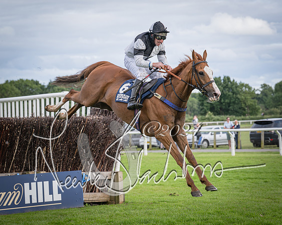 Race 1 - Pointing Pointers Restricted Final (64 of 79)