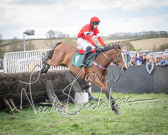 Race 2 - Tattersalls Cheltenham 4 year old Maiden (53 of 85)