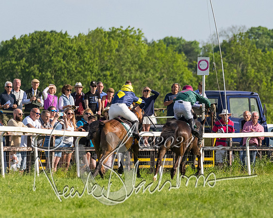 Race 6 - Owner trainer conditions (242 of 272)