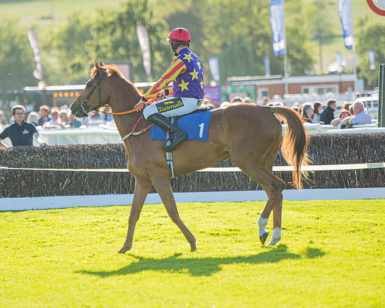 Race 3 - John Corbet Cup (3 of 88)
