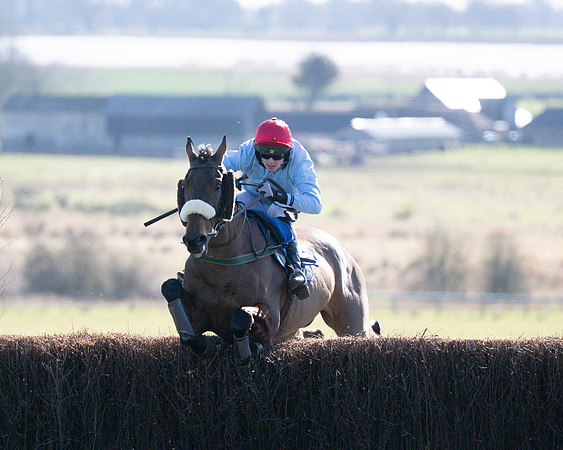 Race 1 - Veteran Horse (52 of 62)