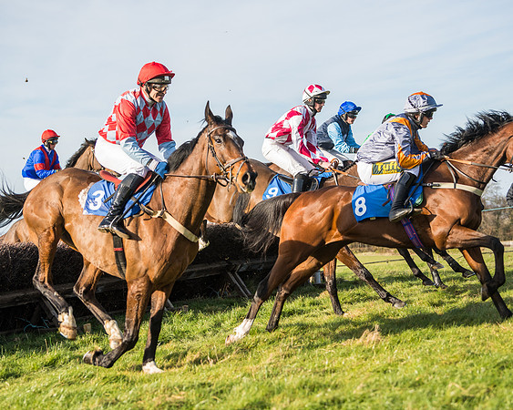 Race 5 - Restricted (34 of 146)