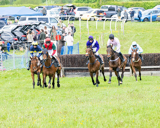 Race 2 - Veteran Horse (6 of 80)