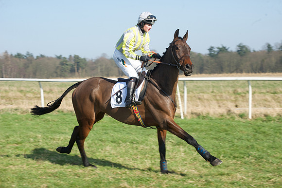 Races 2 - Conditions 14