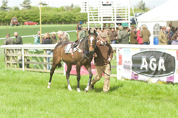 Pony Race - 3    7
