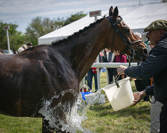 Race 3 - The Richardsons chartered Accountants Conditions Race [Level Three] for Novice Riders (114 of 117)