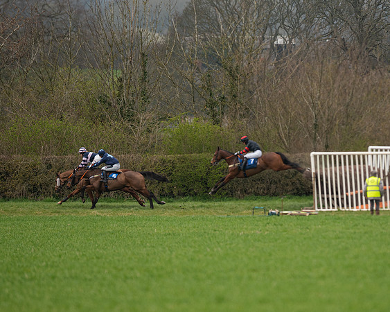 Race 2 - Veteran Horse (92 of 153)