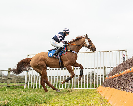 Race 2 - Veteran Horse (96 of 153)