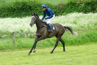 Race Six 4