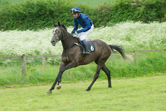 Race Six 4