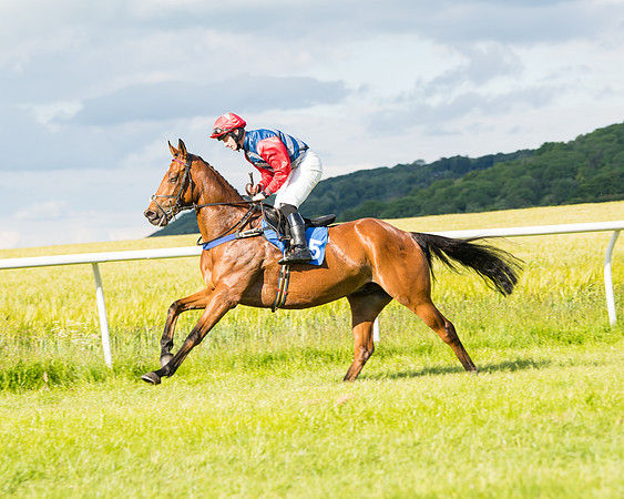 Race 6 - Open Maiden (69 of 227)