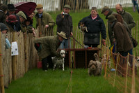 1 -Terrier Races 15