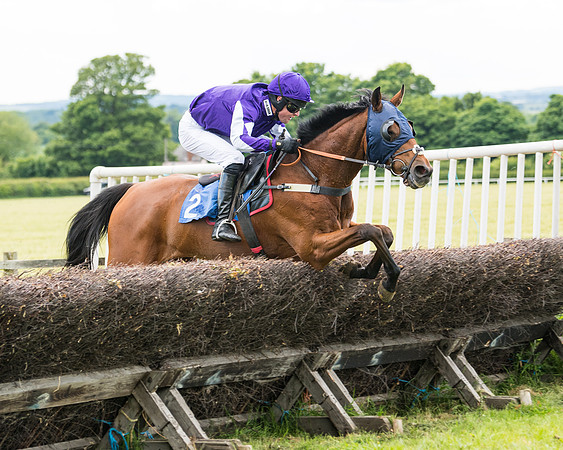 Race 5 - Restricted  (85 of 136)