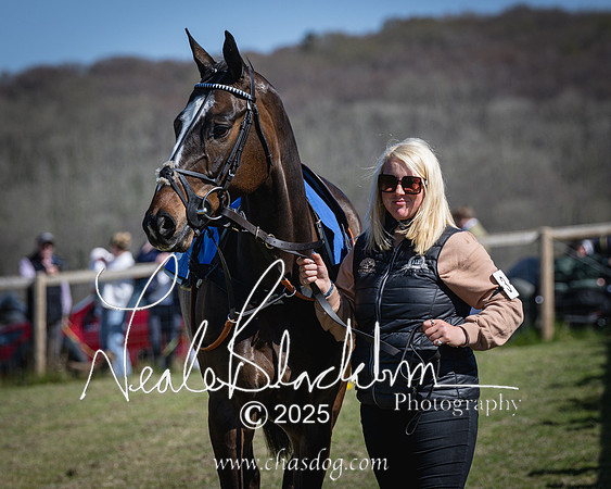 Race 2 - The Maiden (3 of 118)
